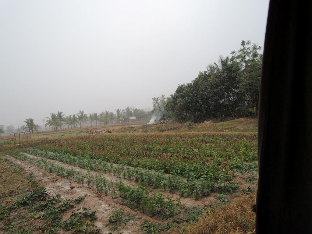 Meas Family Homestay Angk Ta Saom Ngoại thất bức ảnh